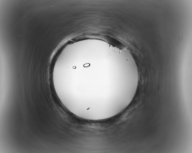 X0000086250244200704261941