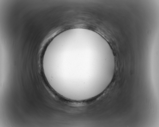 X0000086250245200704261941