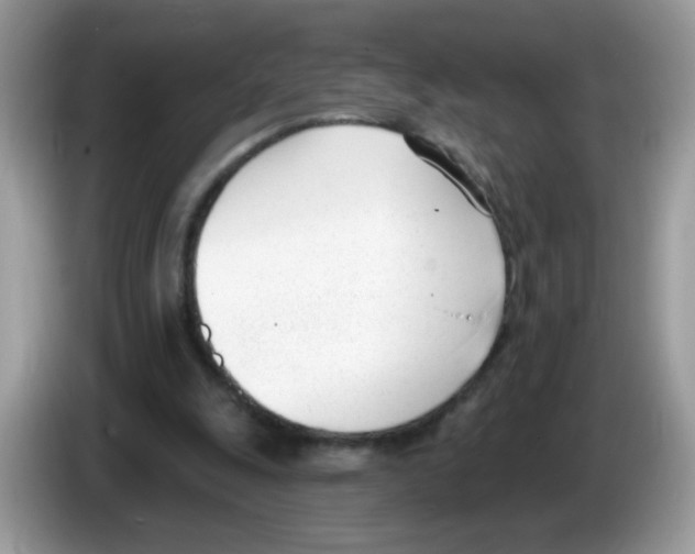 X0000086250247200704261941