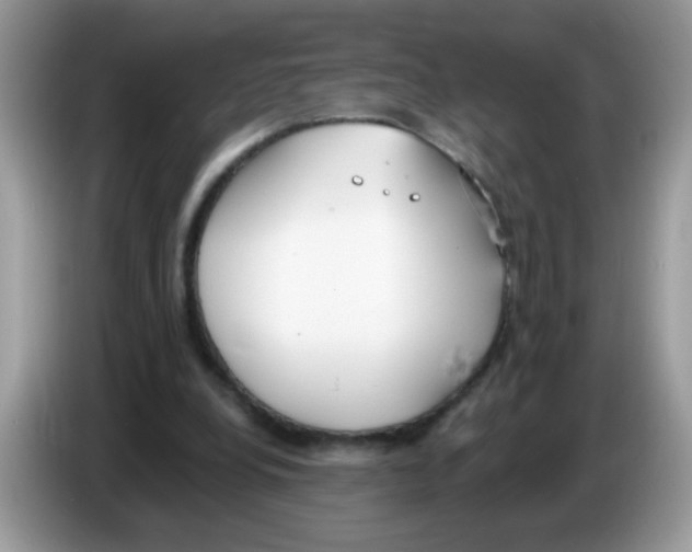 X0000086250248200704261941