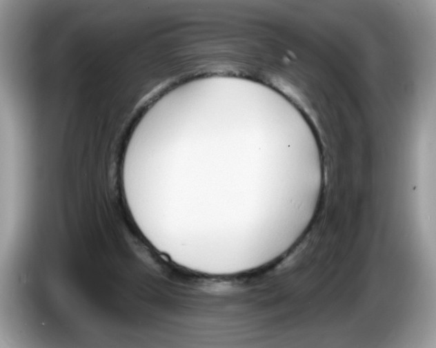 X0000086250249200704261941