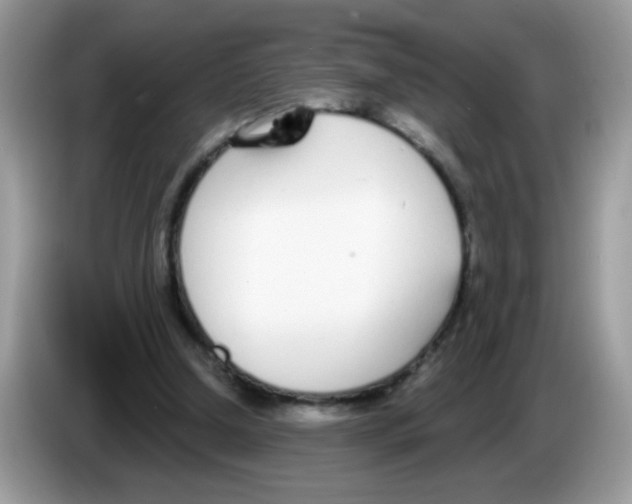 X0000086250250200704261941