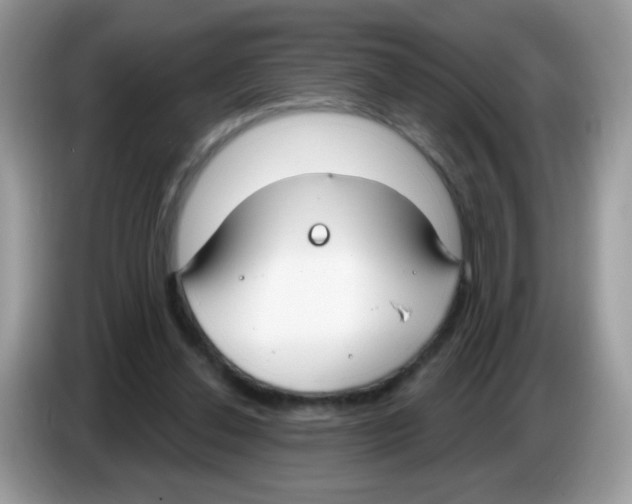 X0000086250252200704261941