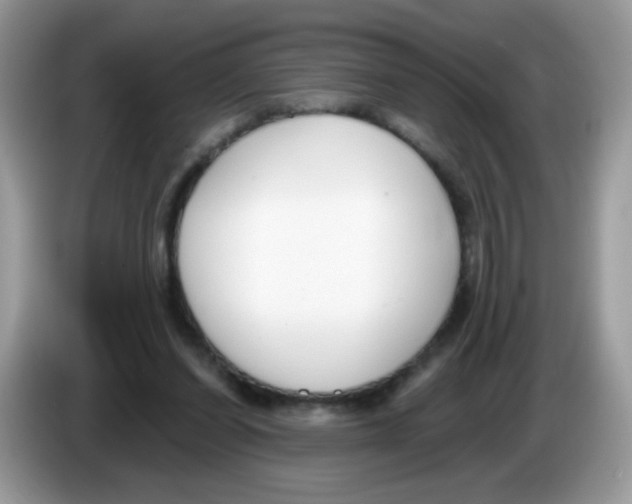 X0000086250254200704261941