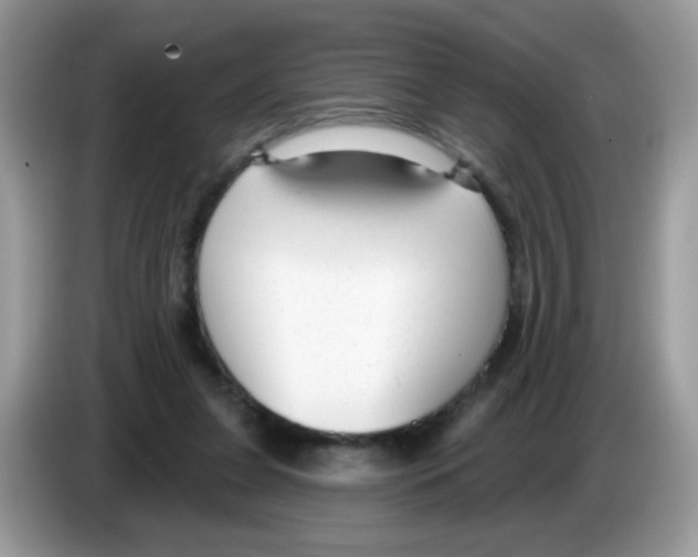 X0000086250255200704261941