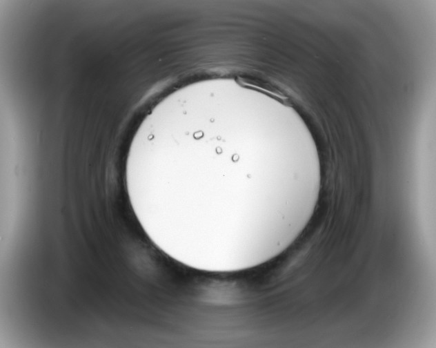 X0000086250256200704261941