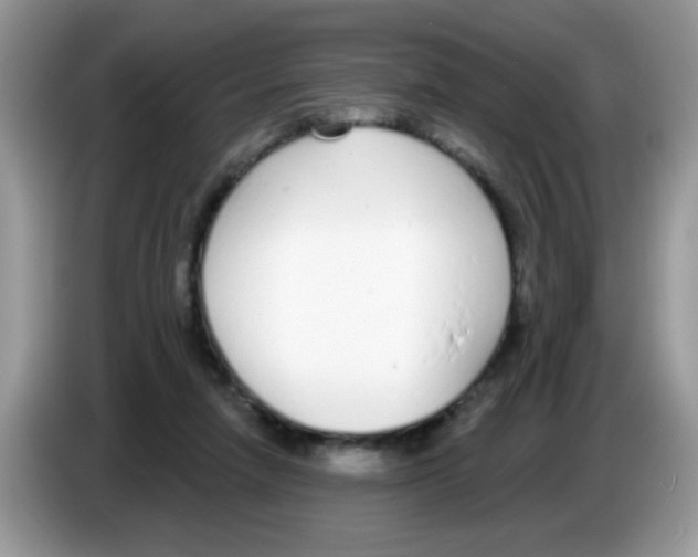 X0000086250258200704261942