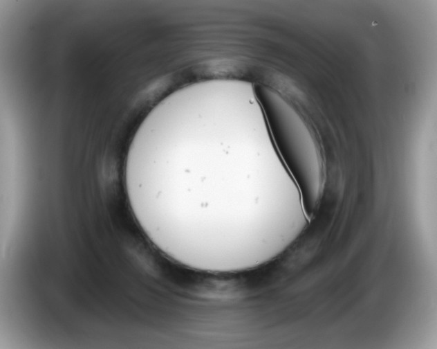 X0000086250260200704261942