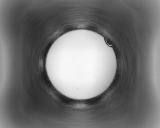 X0000086250262200704261942