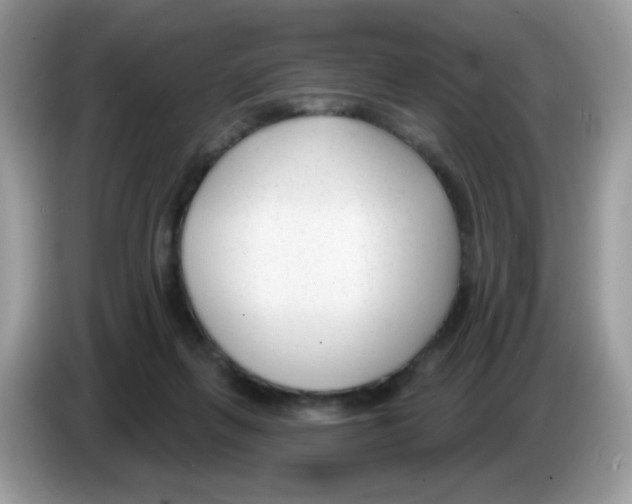 X0000086250263200704261942