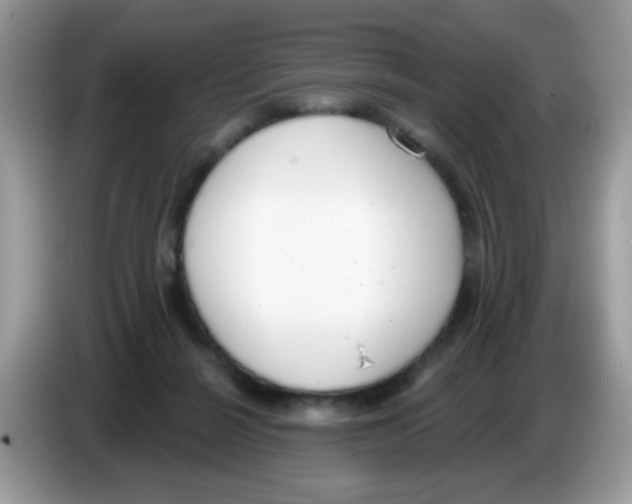 X0000086250264200704261942