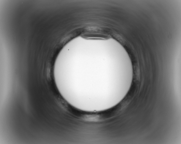 X0000086250266200704261942