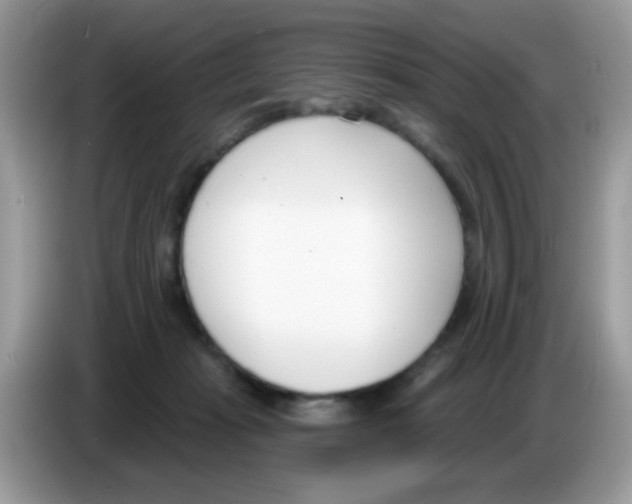 X0000086250269200704261942