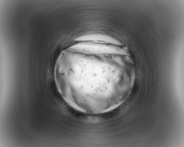 X0000086250272200704261942