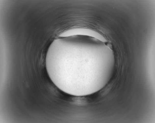 X0000086250273200704261942