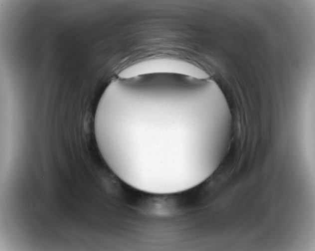 X0000086250275200704261942