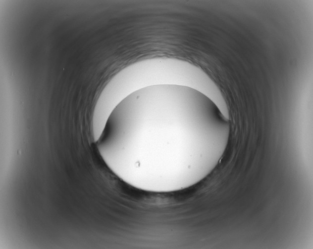 X0000086250276200704261942