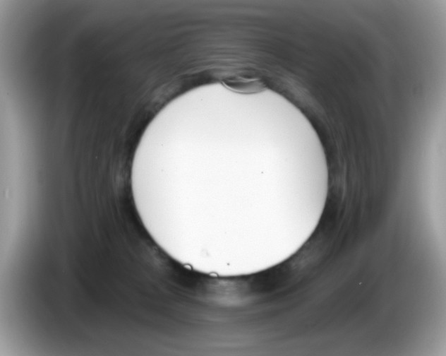 X0000086250277200704261942