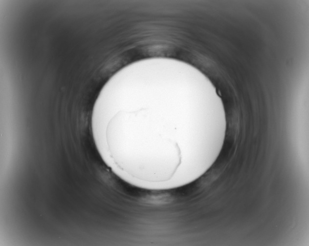 X0000086250278200704261942