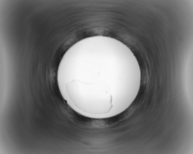 X0000086250279200704261942