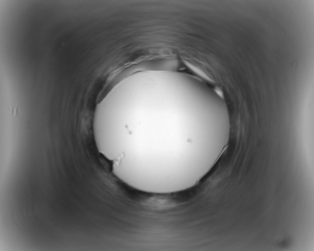 X0000086250280200704261942