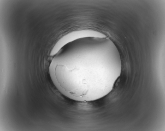 X0000086250281200704261942