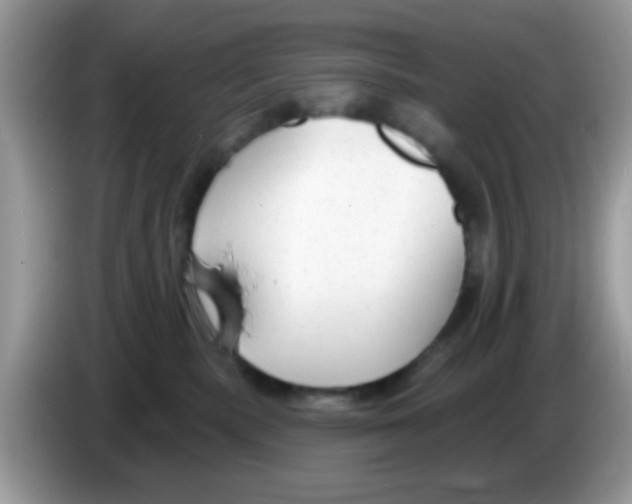 X0000086250283200704261942