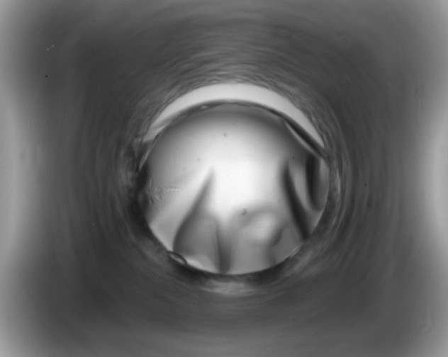 X0000086250284200704261942