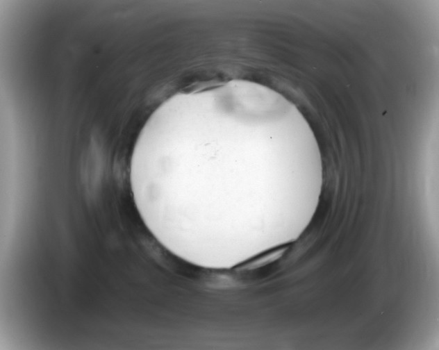 X0000086250285200704261942