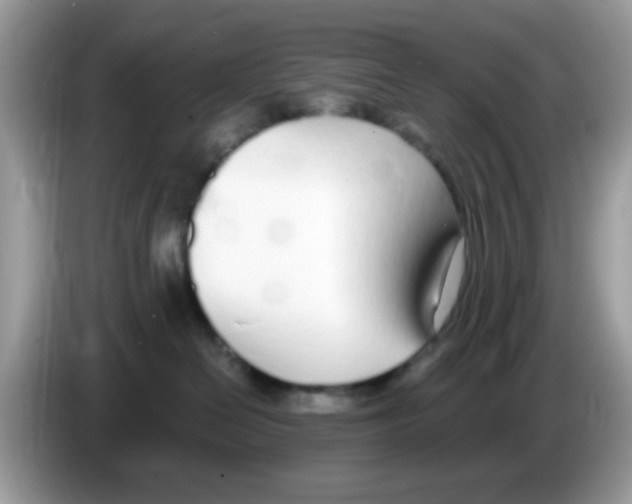 X0000086250286200704261942