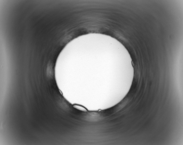 X0000086250287200704261942