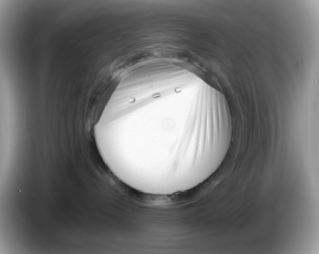 X0000086250288200704261942