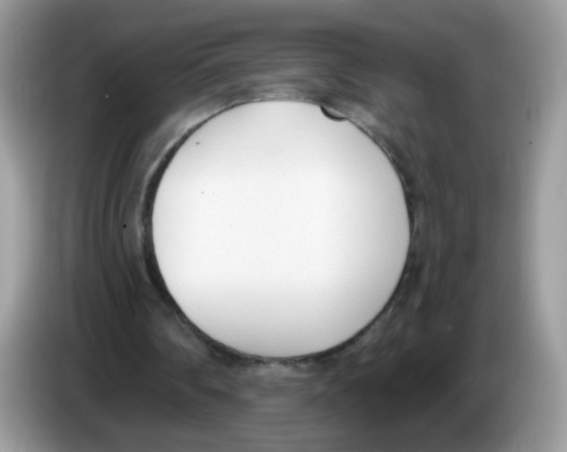 X0000086250290200704261941