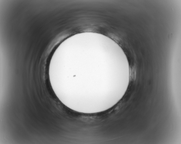 X0000086250291200704261941