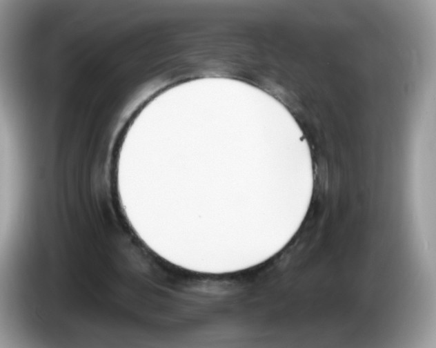 X0000086250292200704261941