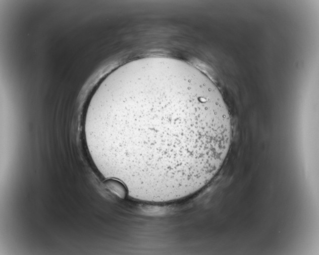 X0000086250293200704261941