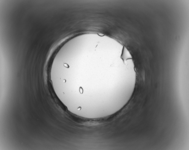 X0000086250294200704261941