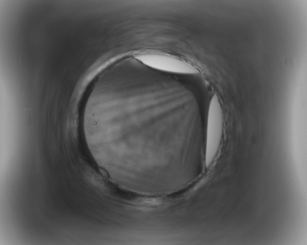 X0000086250295200704261941