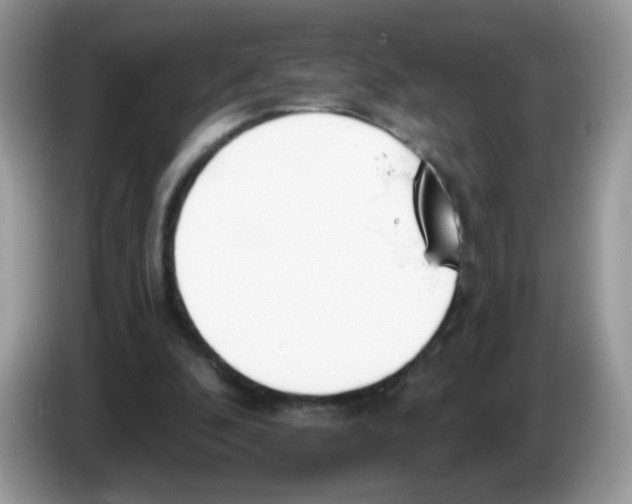 X0000086250296200704261941