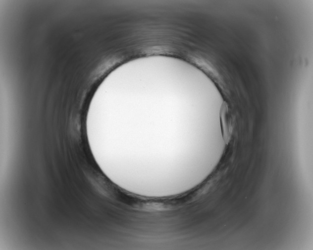 X0000086250298200704261941