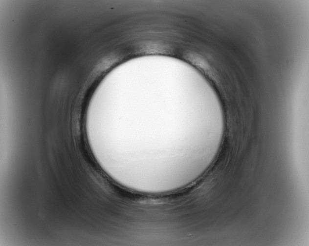 X0000086250299200704261941