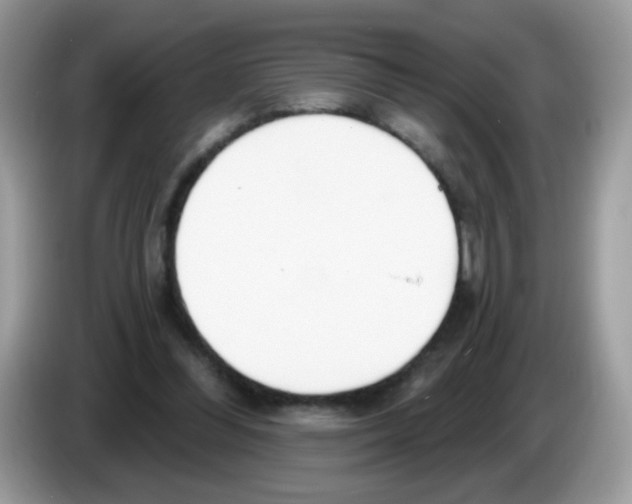 X0000086250300200704261941