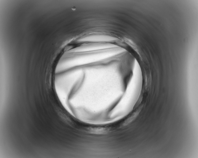 X0000086250301200704261941