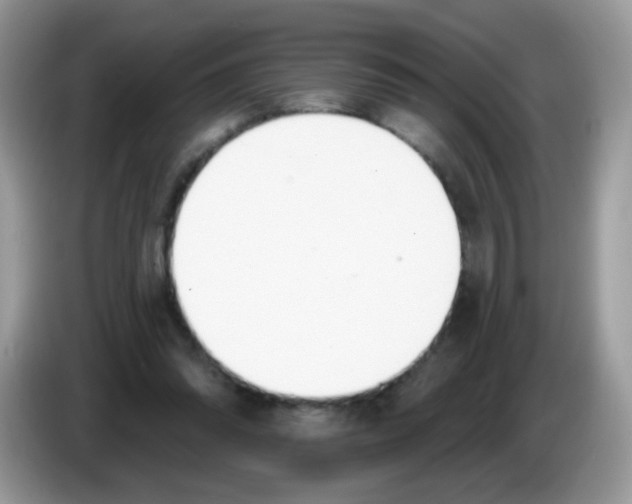 X0000086250302200704261941