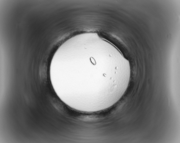 X0000086250303200704261941
