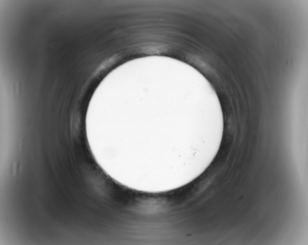 X0000086250304200704261941