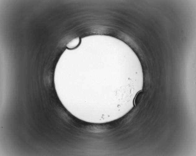 X0000086250305200704261941