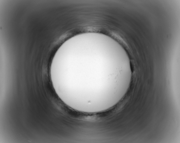 X0000086250306200704261941