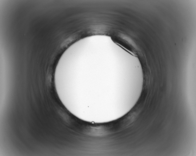 X0000086250309200704261941
