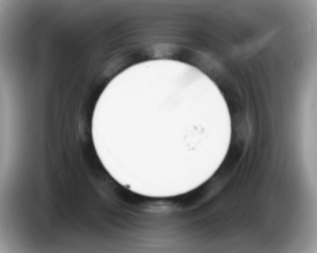 X0000086250316200704261941